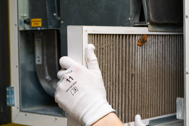 Best Air Duct Cleaning Near Me  in Stanton, MI