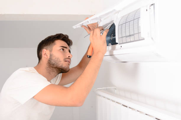 Best Local Air Duct Cleaning Services  in Stanton, MI
