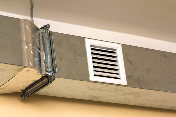 Best Affordable HVAC Duct Cleaning  in Stanton, MI